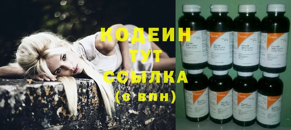 прущие грибы Михайловка