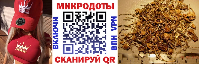 Галлюциногенные грибы Magic Shrooms  сколько стоит  Юрьевец 